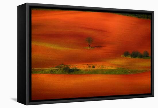 Red Land-Viviane Fedieu Daniel-Framed Premier Image Canvas