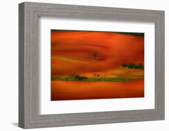 Red Land-Viviane Fedieu Daniel-Framed Photographic Print