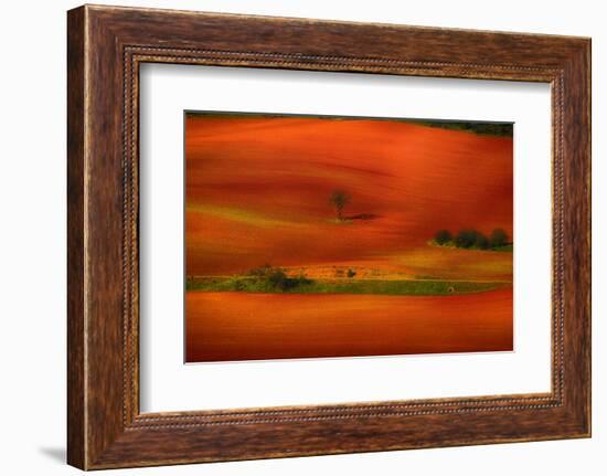 Red Land-Viviane Fedieu Daniel-Framed Photographic Print