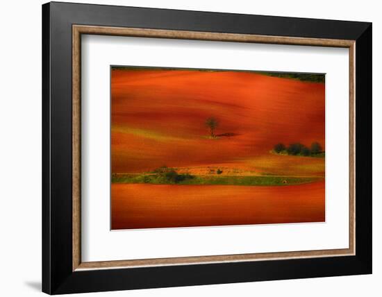 Red Land-Viviane Fedieu Daniel-Framed Photographic Print