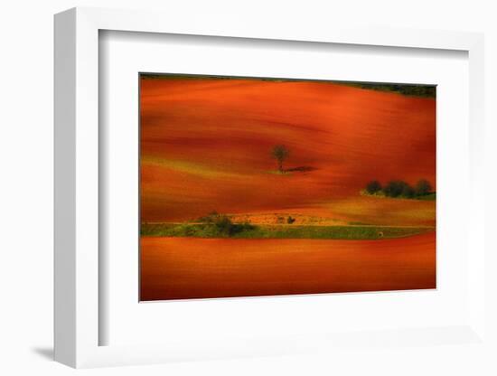 Red Land-Viviane Fedieu Daniel-Framed Photographic Print