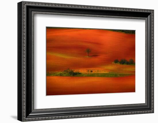 Red Land-Viviane Fedieu Daniel-Framed Photographic Print