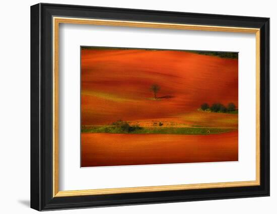 Red Land-Viviane Fedieu Daniel-Framed Photographic Print