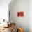 Red Lanterns at Temple, Taichung, Taiwan-Ian Trower-Framed Premier Image Canvas displayed on a wall