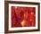 Red Lanterns at Temple, Taichung, Taiwan-Ian Trower-Framed Photographic Print