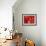 Red Lanterns at Temple, Taichung, Taiwan-Ian Trower-Framed Photographic Print displayed on a wall