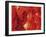 Red Lanterns at Temple, Taichung, Taiwan-Ian Trower-Framed Photographic Print