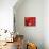 Red Lanterns at Temple, Taichung, Taiwan-Ian Trower-Mounted Photographic Print displayed on a wall