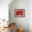 Red Lanterns at Temple, Taichung, Taiwan-Ian Trower-Framed Photographic Print displayed on a wall