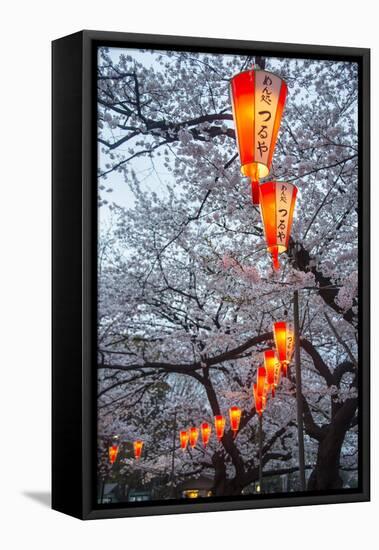 Red Lanterns Illuminating the Cherry Blossom in the Ueno Park, Tokyo, Japan, Asia-Michael Runkel-Framed Premier Image Canvas