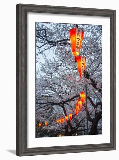 Red Lanterns Illuminating the Cherry Blossom in the Ueno Park, Tokyo, Japan, Asia-Michael Runkel-Framed Photographic Print