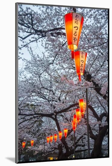 Red Lanterns Illuminating the Cherry Blossom in the Ueno Park, Tokyo, Japan, Asia-Michael Runkel-Mounted Photographic Print