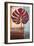 Red Leaves I-Patricia Pinto-Framed Premium Giclee Print