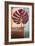 Red Leaves I-Patricia Pinto-Framed Premium Giclee Print