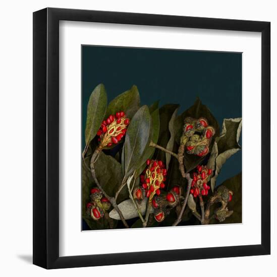 Red Leaves Magnolia Fruits-null-Framed Art Print