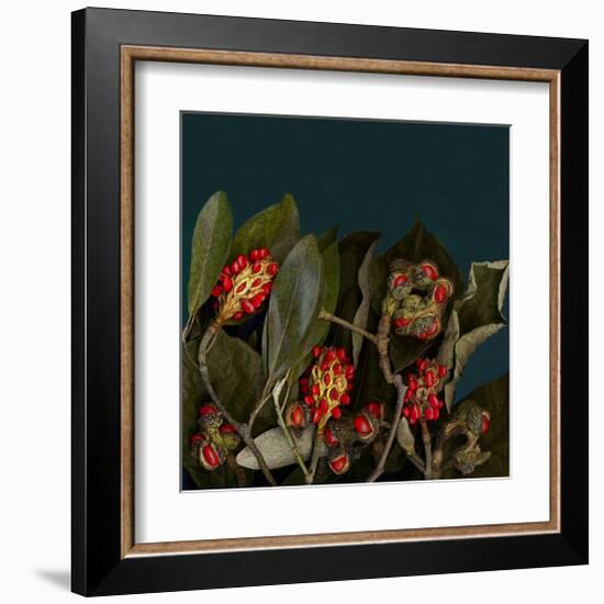 Red Leaves Magnolia Fruits-null-Framed Art Print