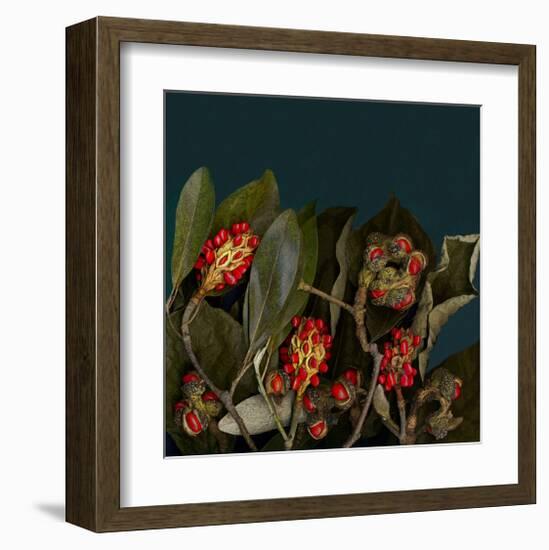 Red Leaves Magnolia Fruits-null-Framed Art Print