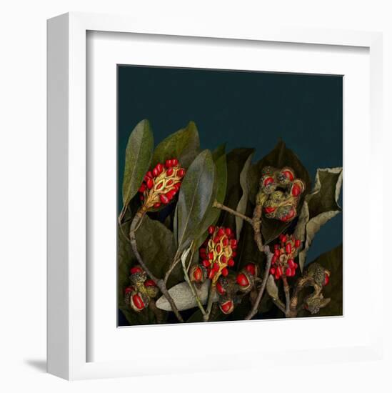 Red Leaves Magnolia Fruits-null-Framed Art Print