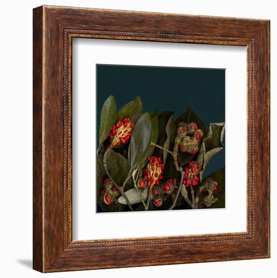 Red Leaves Magnolia Fruits-null-Framed Art Print