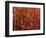 Red leaves-Marco Carmassi-Framed Photographic Print