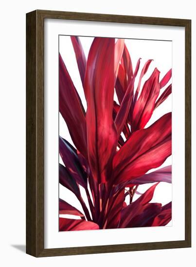 Red Leaves-Alex Hanson-Framed Art Print