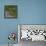 Red-legged partridge with chicks, Vendee, France, June-Loic Poidevin-Framed Premier Image Canvas displayed on a wall