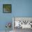 Red-legged partridge with chicks, Vendee, France, June-Loic Poidevin-Framed Premier Image Canvas displayed on a wall