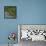 Red-legged partridge with chicks, Vendee, France, June-Loic Poidevin-Framed Premier Image Canvas displayed on a wall