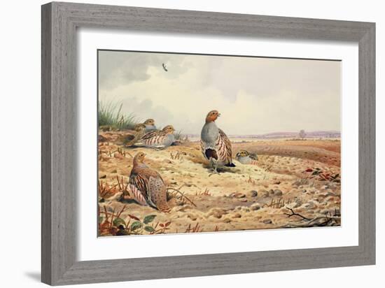 Red-Legged Partridge-Carl Donner-Framed Giclee Print