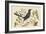 Red Legged Thrush-Mark Catesby-Framed Art Print