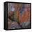 Red Lichen on Rocks-Micha Pawlitzki-Framed Premier Image Canvas