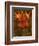 Red Lilies-John Seba-Framed Premium Giclee Print