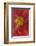Red Lily Abstract-Anna Miller-Framed Photographic Print