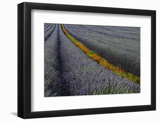 Red line-Izidor Gasperlin-Framed Photographic Print