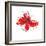 Red Liquid Floral Three-Jan Weiss-Framed Art Print