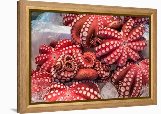 Red Live Octopus at Tsukiji Fish Market, Tokyo, Japan-javarman-Framed Premier Image Canvas