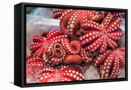 Red Live Octopus at Tsukiji Fish Market, Tokyo, Japan-javarman-Framed Premier Image Canvas