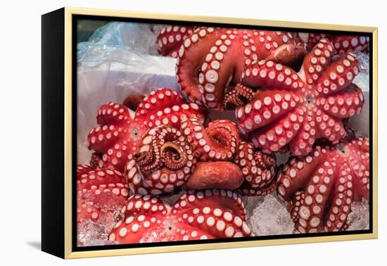 Red Live Octopus at Tsukiji Fish Market, Tokyo, Japan-javarman-Framed Premier Image Canvas