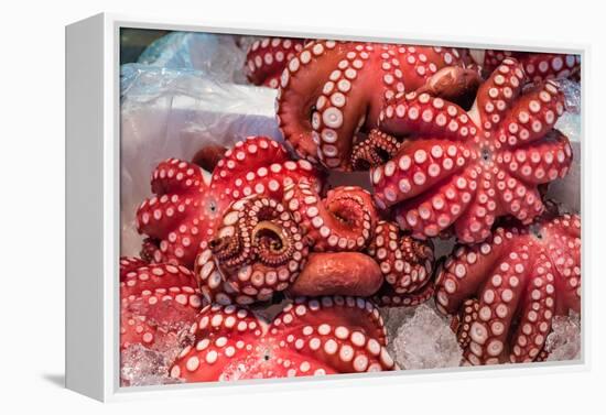 Red Live Octopus at Tsukiji Fish Market, Tokyo, Japan-javarman-Framed Premier Image Canvas