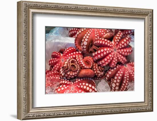 Red Live Octopus at Tsukiji Fish Market, Tokyo, Japan-javarman-Framed Photographic Print