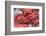 Red Live Octopus at Tsukiji Fish Market, Tokyo, Japan-javarman-Framed Photographic Print