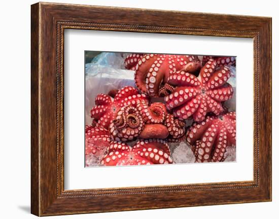 Red Live Octopus at Tsukiji Fish Market, Tokyo, Japan-javarman-Framed Photographic Print