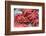 Red Live Octopus at Tsukiji Fish Market, Tokyo, Japan-javarman-Framed Photographic Print