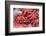 Red Live Octopus at Tsukiji Fish Market, Tokyo, Japan-javarman-Framed Photographic Print