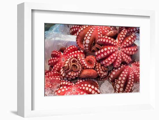 Red Live Octopus at Tsukiji Fish Market, Tokyo, Japan-javarman-Framed Photographic Print