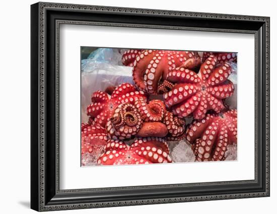 Red Live Octopus at Tsukiji Fish Market, Tokyo, Japan-javarman-Framed Photographic Print