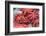 Red Live Octopus at Tsukiji Fish Market, Tokyo, Japan-javarman-Framed Photographic Print