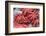 Red Live Octopus at Tsukiji Fish Market, Tokyo, Japan-javarman-Framed Photographic Print