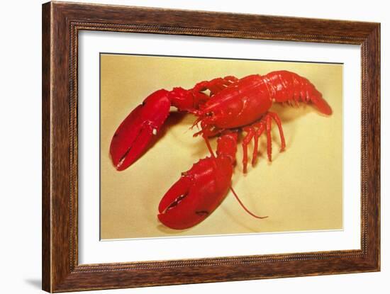 Red Lobster-null-Framed Art Print