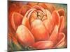 Red Lotus II-Patricia Pinto-Mounted Art Print